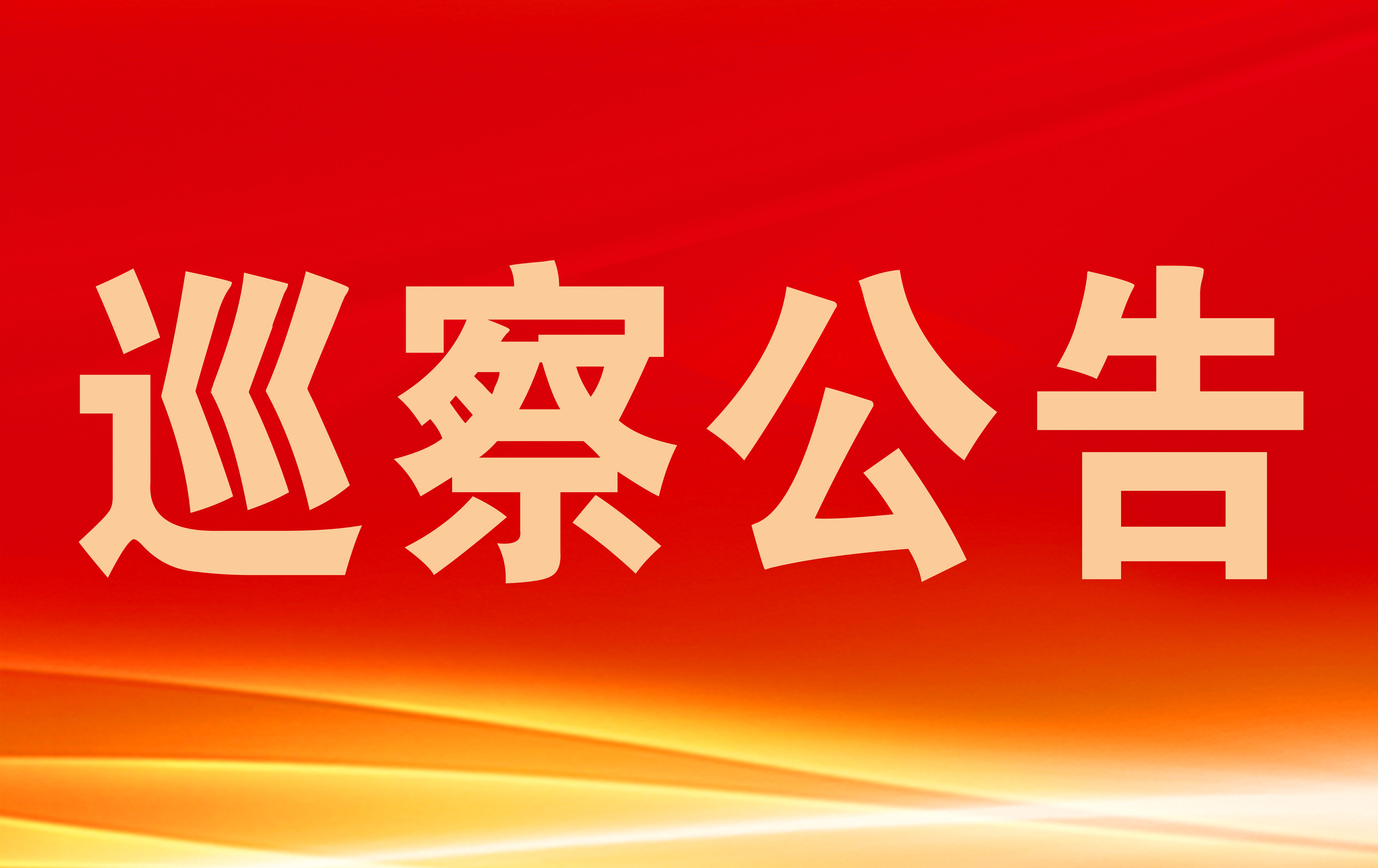 巡 察 公 告